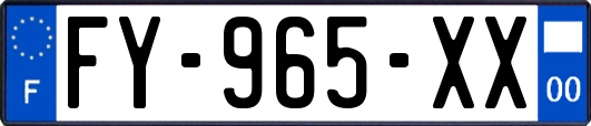 FY-965-XX