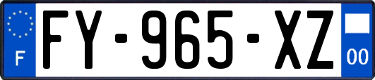 FY-965-XZ