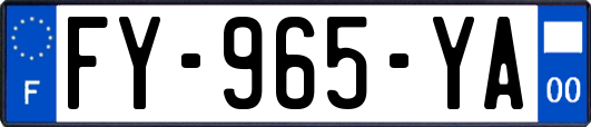FY-965-YA