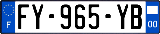 FY-965-YB