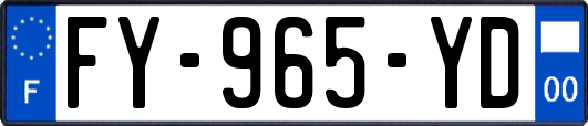FY-965-YD