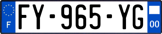 FY-965-YG