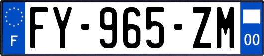 FY-965-ZM