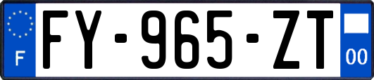 FY-965-ZT