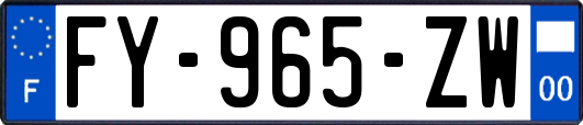 FY-965-ZW