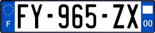 FY-965-ZX