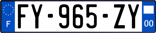 FY-965-ZY