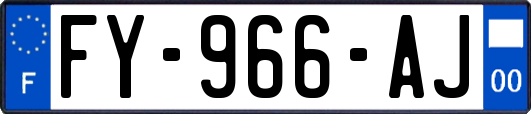 FY-966-AJ