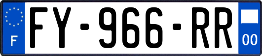 FY-966-RR