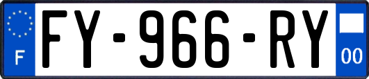 FY-966-RY