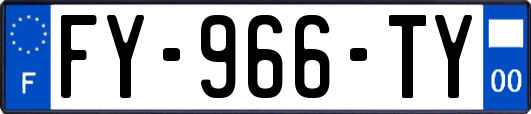 FY-966-TY