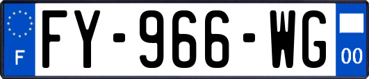 FY-966-WG