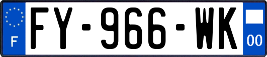 FY-966-WK