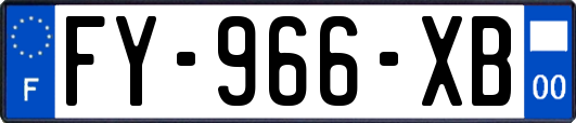FY-966-XB