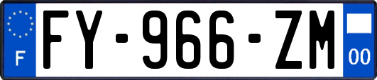 FY-966-ZM