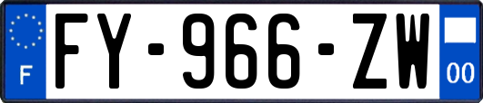FY-966-ZW