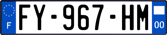 FY-967-HM