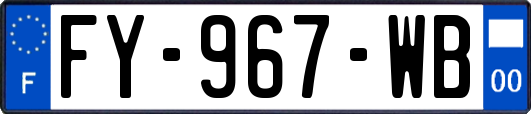 FY-967-WB