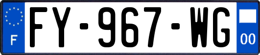 FY-967-WG