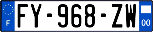 FY-968-ZW
