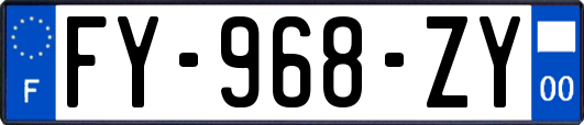 FY-968-ZY