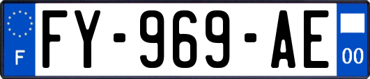 FY-969-AE