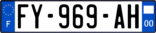 FY-969-AH