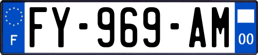 FY-969-AM