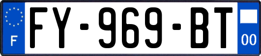 FY-969-BT