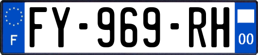 FY-969-RH