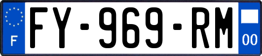 FY-969-RM