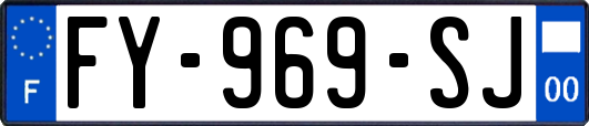 FY-969-SJ