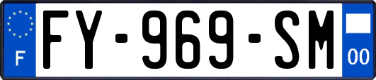 FY-969-SM