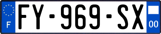 FY-969-SX
