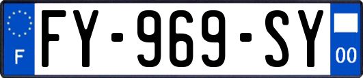 FY-969-SY
