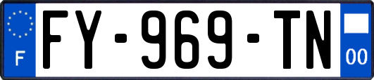FY-969-TN