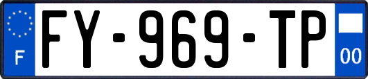 FY-969-TP