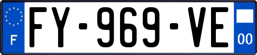 FY-969-VE