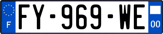 FY-969-WE
