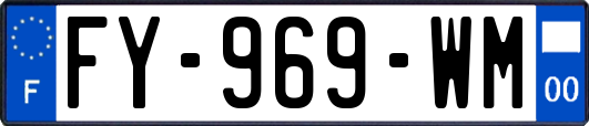 FY-969-WM