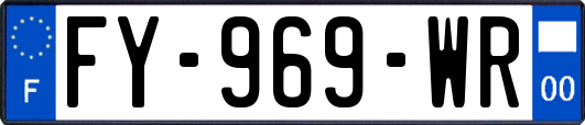 FY-969-WR