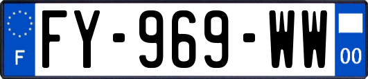 FY-969-WW