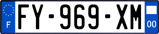 FY-969-XM