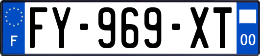 FY-969-XT