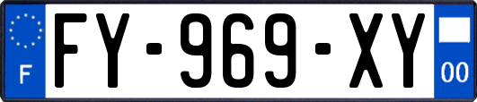FY-969-XY