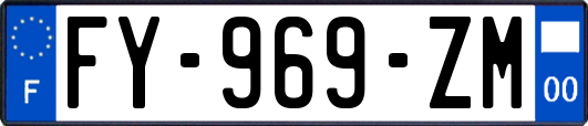 FY-969-ZM