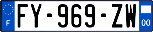 FY-969-ZW