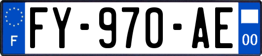 FY-970-AE