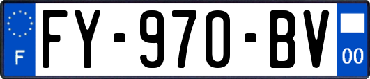 FY-970-BV