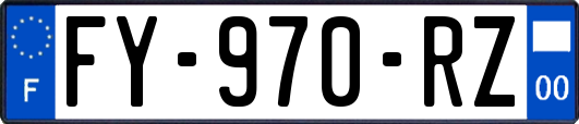 FY-970-RZ